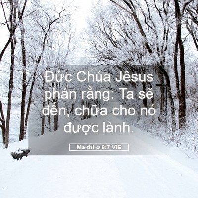 Picture 05 - Ma-thi-ơ 8:7 VIE - Đức Chúa Jêsus phán rằng: Ta sẽ đến, - Bible Verse Picture
