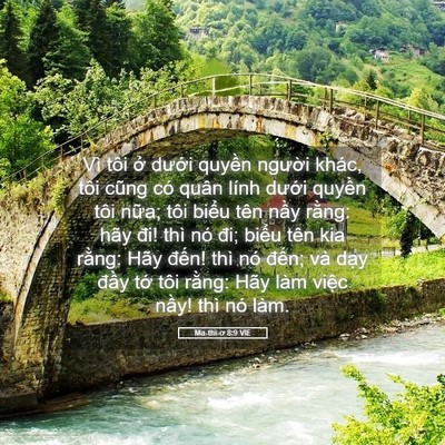 Picture 05 - Ma-thi-ơ 8:9 VIE - Vì tôi ở dưới quyền người khác, tôi - Bible Verse Picture