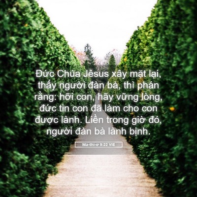 Picture 05 - Ma-thi-ơ 9:22 VIE - Đức Chúa Jêsus xây mặt lại, thấy - Bible Verse Picture