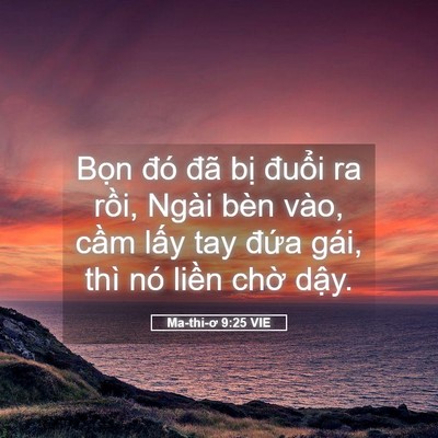 Picture 05 - Ma-thi-ơ 9:25 VIE - Bọn đó đã bị đuổi ra rồi, Ngài bèn - Bible Verse Picture