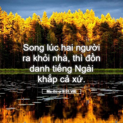 Picture 05 - Ma-thi-ơ 9:31 VIE - Song lúc hai người ra khỏi nhà, thì - Bible Verse Picture
