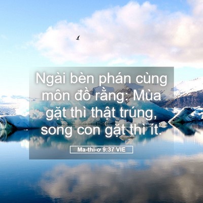 Picture 05 - Ma-thi-ơ 9:37 VIE - Ngài bèn phán cùng môn đồ rằng: Mùa - Bible Verse Picture