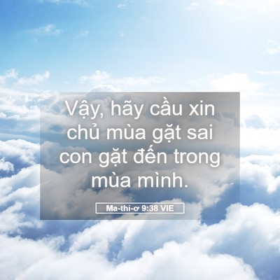 Picture 05 - Ma-thi-ơ 9:38 VIE - Vậy, hãy cầu xin chủ mùa gặt sai con - Bible Verse Picture
