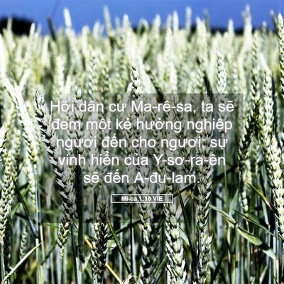 Picture 05 - Mi-ca 1:15 VIE - Hỡi dân cư Ma-rê-sa, ta sẽ đem một kẻ - Bible Verse Picture