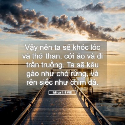 Picture 05 - Mi-ca 1:8 VIE - Vậy nên ta sẽ khóc lóc và thở than, - Bible Verse Picture