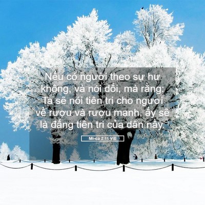 Picture 05 - Mi-ca 2:11 VIE - Nếu có người theo sự hư không, và nói - Bible Verse Picture