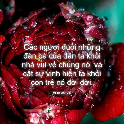 Picture 05 - Mi-ca 2:9 VIE - Các ngươi đuổi những đàn bà của dân - Bible Verse Picture