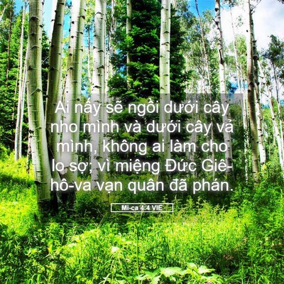 Picture 05 - Mi-ca 4:4 VIE - Ai nấy sẽ ngồi dưới cây nho mình và - Bible Verse Picture