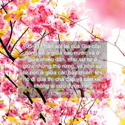 Picture 05 - Mi-ca 5:8 VIE - (05-7) Phần sót lại của Gia-cốp cũng - Bible Verse Picture