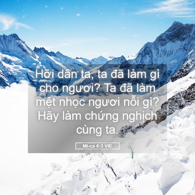 Picture 05 - Mi-ca 6:3 VIE - Hỡi dân ta, ta đã làm gì cho ngươi? Ta - Bible Verse Picture