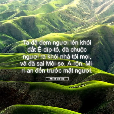 Picture 05 - Mi-ca 6:4 VIE - Ta đã đem ngươi lên khỏi đất - Bible Verse Picture