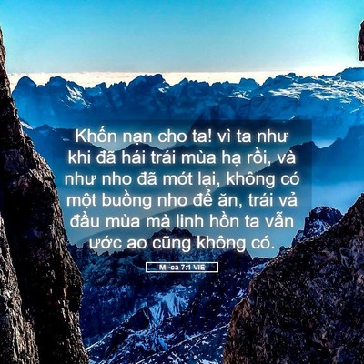 Picture 05 - Mi-ca 7:1 VIE - Khốn nạn cho ta! vì ta như khi đã hái - Bible Verse Picture