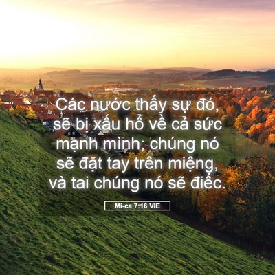 Picture 05 - Mi-ca 7:16 VIE - Các nước thấy sự đó, sẽ bị xấu - Bible Verse Picture