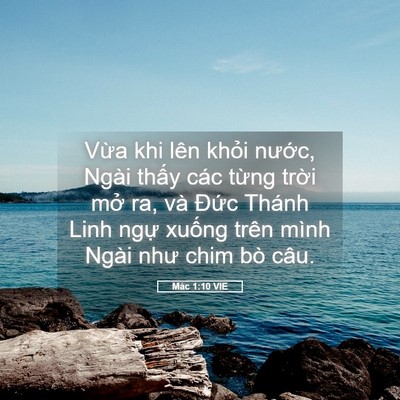 Picture 05 - Mác 1:10 VIE - Vừa khi lên khỏi nước, Ngài thấy các - Bible Verse Picture