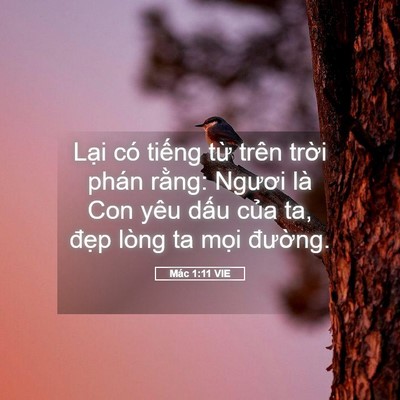 Picture 05 - Mác 1:11 VIE - Lại có tiếng từ trên trời phán rằng: - Bible Verse Picture