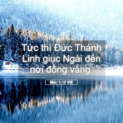 Picture 05 - Mác 1:12 VIE - Tức thì Đức Thánh Linh giục Ngài đến - Bible Verse Picture