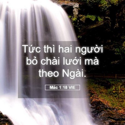 Picture 05 - Mác 1:18 VIE - Tức thì hai người bỏ chài lưới mà - Bible Verse Picture