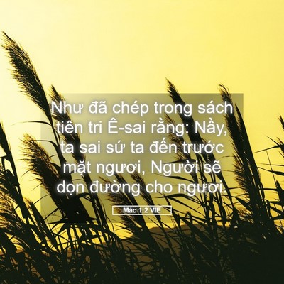 Picture 05 - Mác 1:2 VIE - Như đã chép trong sách tiên tri Ê-sai - Bible Verse Picture