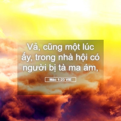Picture 05 - Mác 1:23 VIE - Vả, cũng một lúc ấy, trong nhà hội có - Bible Verse Picture