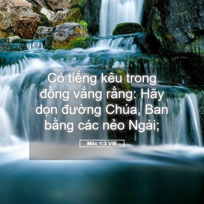 Picture 05 - Mác 1:3 VIE - Có tiếng kêu trong đồng vắng rằng: - Bible Verse Picture