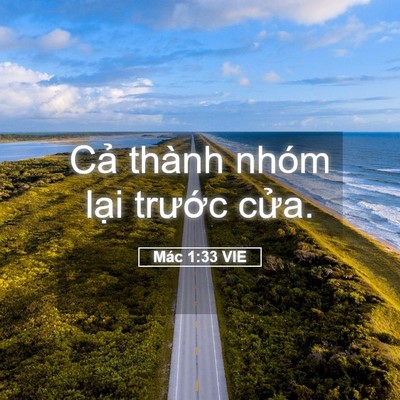 Picture 05 - Mác 1:33 VIE - Cả thành nhóm lại trước - Bible Verse Picture