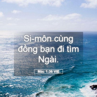 Picture 05 - Mác 1:36 VIE - Si-môn cùng đồng bạn đi tìm - Bible Verse Picture