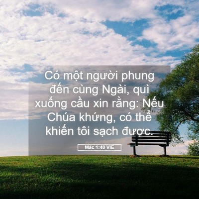Picture 05 - Mác 1:40 VIE - Có một người phung đến cùng Ngài, quì - Bible Verse Picture