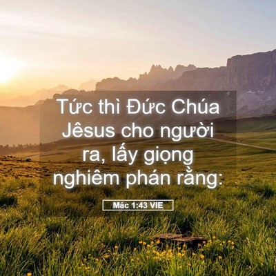 Picture 05 - Mác 1:43 VIE - Tức thì Đức Chúa Jêsus cho người ra, - Bible Verse Picture