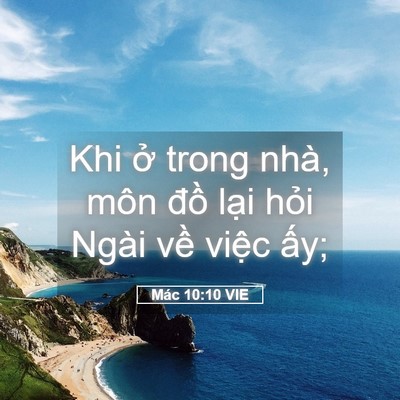 Picture 05 - Mác 10:10 VIE - Khi ở trong nhà, môn đồ lại hỏi Ngài - Bible Verse Picture