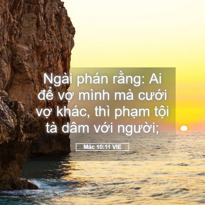 Picture 05 - Mác 10:11 VIE - Ngài phán rằng: Ai để vợ mình mà - Bible Verse Picture