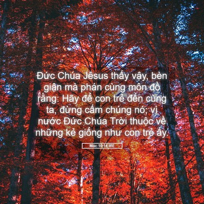 Picture 05 - Mác 10:14 VIE - Đức Chúa Jêsus thấy vậy, bèn giận mà - Bible Verse Picture