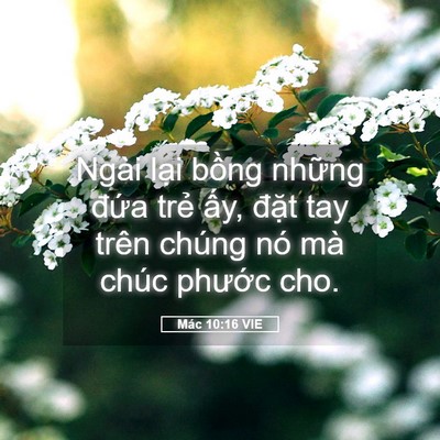 Picture 05 - Mác 10:16 VIE - Ngài lại bồng những đứa trẻ ấy, - Bible Verse Picture