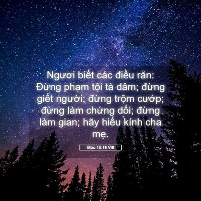 Picture 05 - Mác 10:19 VIE - Ngươi biết các điều răn: Đừng phạm - Bible Verse Picture