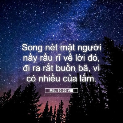 Picture 05 - Mác 10:22 VIE - Song nét mặt người nầy rầu rĩ về - Bible Verse Picture