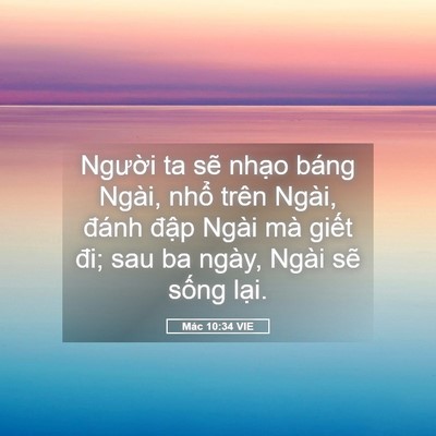 Picture 05 - Mác 10:34 VIE - Người ta sẽ nhạo báng Ngài, nhổ trên - Bible Verse Picture