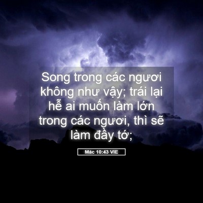 Picture 05 - Mác 10:43 VIE - Song trong các ngươi không như vậy; trái - Bible Verse Picture