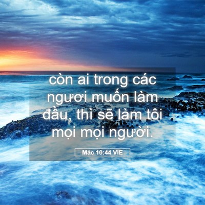 Picture 05 - Mác 10:44 VIE - còn ai trong các ngươi muốn làm đầu, - Bible Verse Picture
