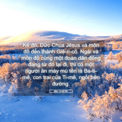Picture 05 - Mác 10:46 VIE - Kế đó, Đức Chúa Jêsus và môn đồ - Bible Verse Picture