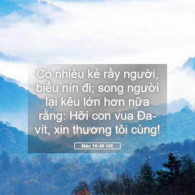 Picture 05 - Mác 10:48 VIE - Có nhiều kẻ rầy người, biểu nín đi; - Bible Verse Picture
