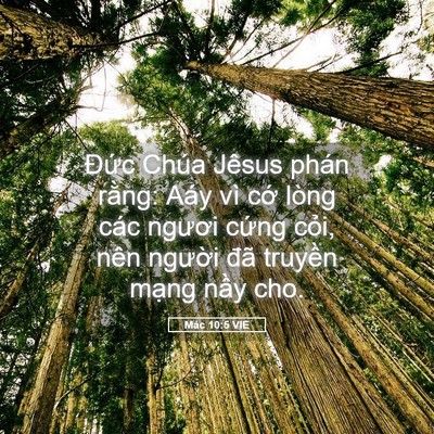 Picture 05 - Mác 10:5 VIE - Đức Chúa Jêsus phán rằng: Aáy vì cớ - Bible Verse Picture