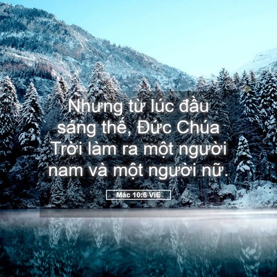 Picture 05 - Mác 10:6 VIE - Nhưng từ lúc đầu sáng thế, Đức Chúa - Bible Verse Picture
