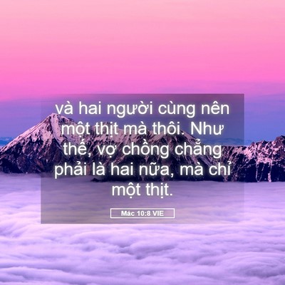 Picture 05 - Mác 10:8 VIE - và hai người cùng nên một thịt mà - Bible Verse Picture
