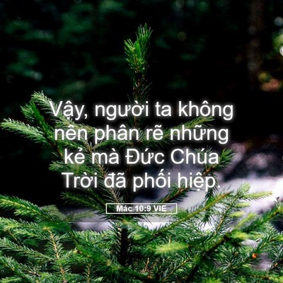 Picture 05 - Mác 10:9 VIE - Vậy, người ta không nên phân rẽ những - Bible Verse Picture