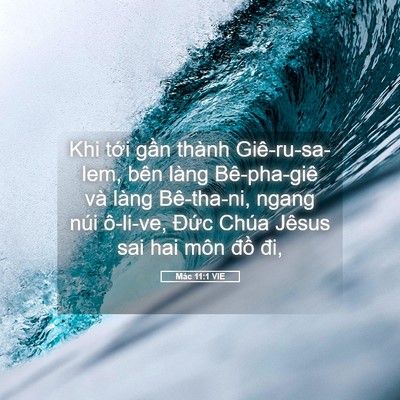 Picture 05 - Mác 11:1 VIE - Khi tới gần thành Giê-ru-sa-lem, bên làng - Bible Verse Picture