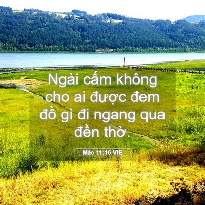 Picture 05 - Mác 11:16 VIE - Ngài cấm không cho ai được đem đồ gì - Bible Verse Picture