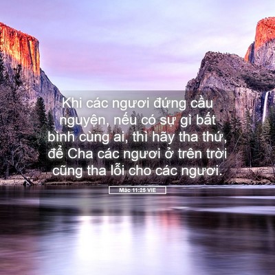 Picture 05 - Mác 11:25 VIE - Khi các ngươi đứng cầu nguyện, nếu - Bible Verse Picture