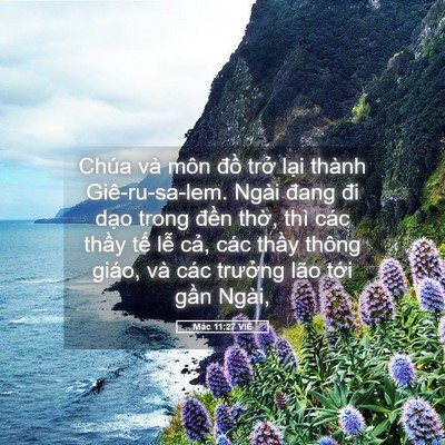 Picture 05 - Mác 11:27 VIE - Chúa và môn đồ trở lại thành - Bible Verse Picture