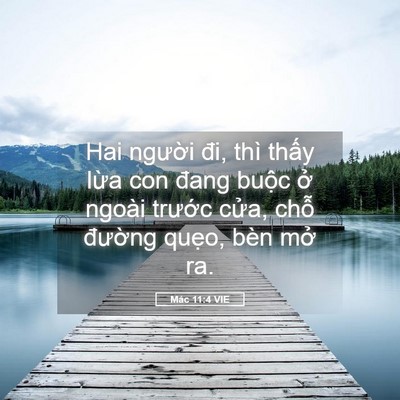 Picture 05 - Mác 11:4 VIE - Hai người đi, thì thấy lừa con đang - Bible Verse Picture