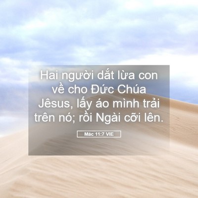 Picture 05 - Mác 11:7 VIE - Hai người dắt lừa con về cho Đức - Bible Verse Picture