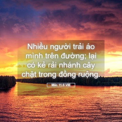 Picture 05 - Mác 11:8 VIE - Nhiều người trải áo mình trên - Bible Verse Picture